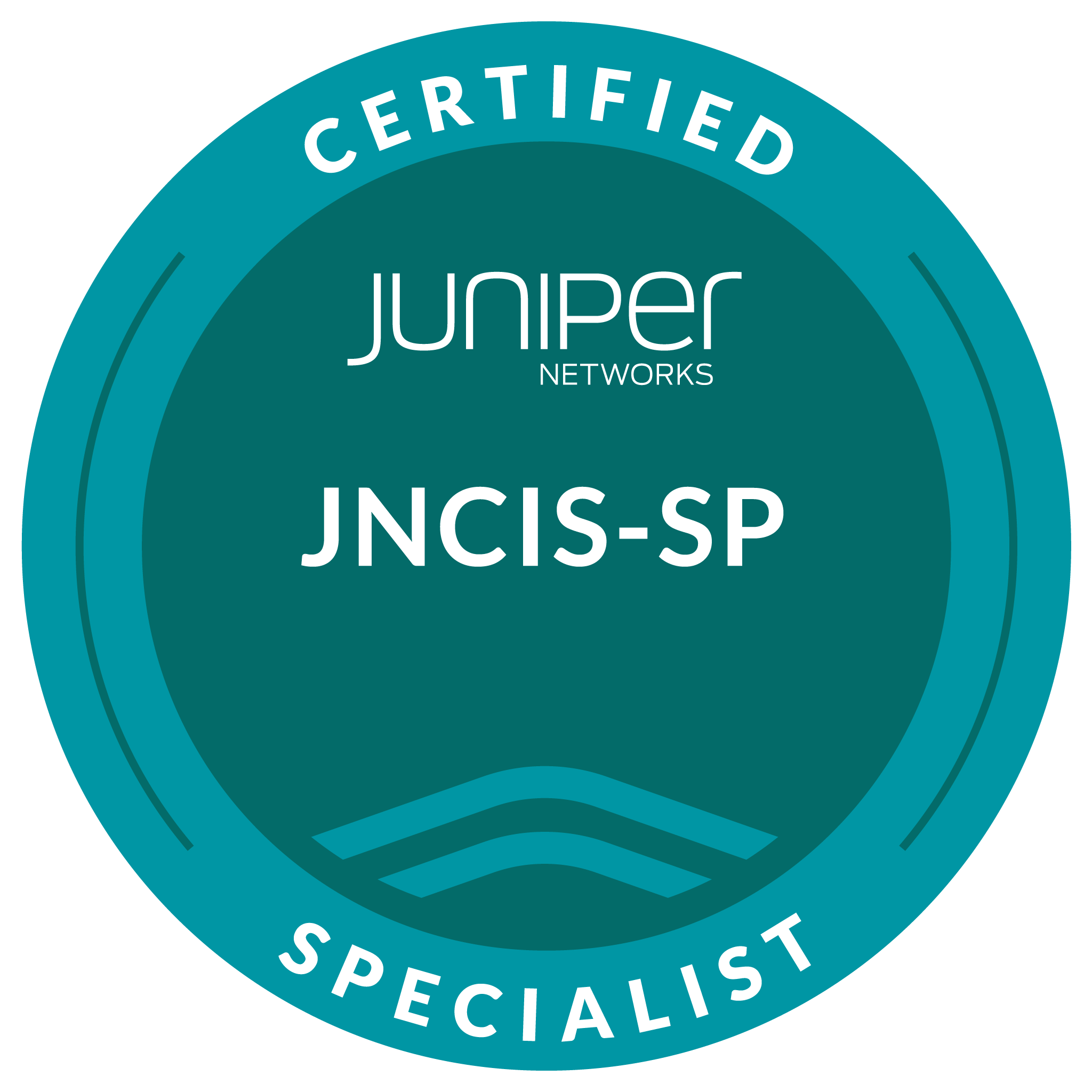 Juniper Networks Certified Internet Specialist